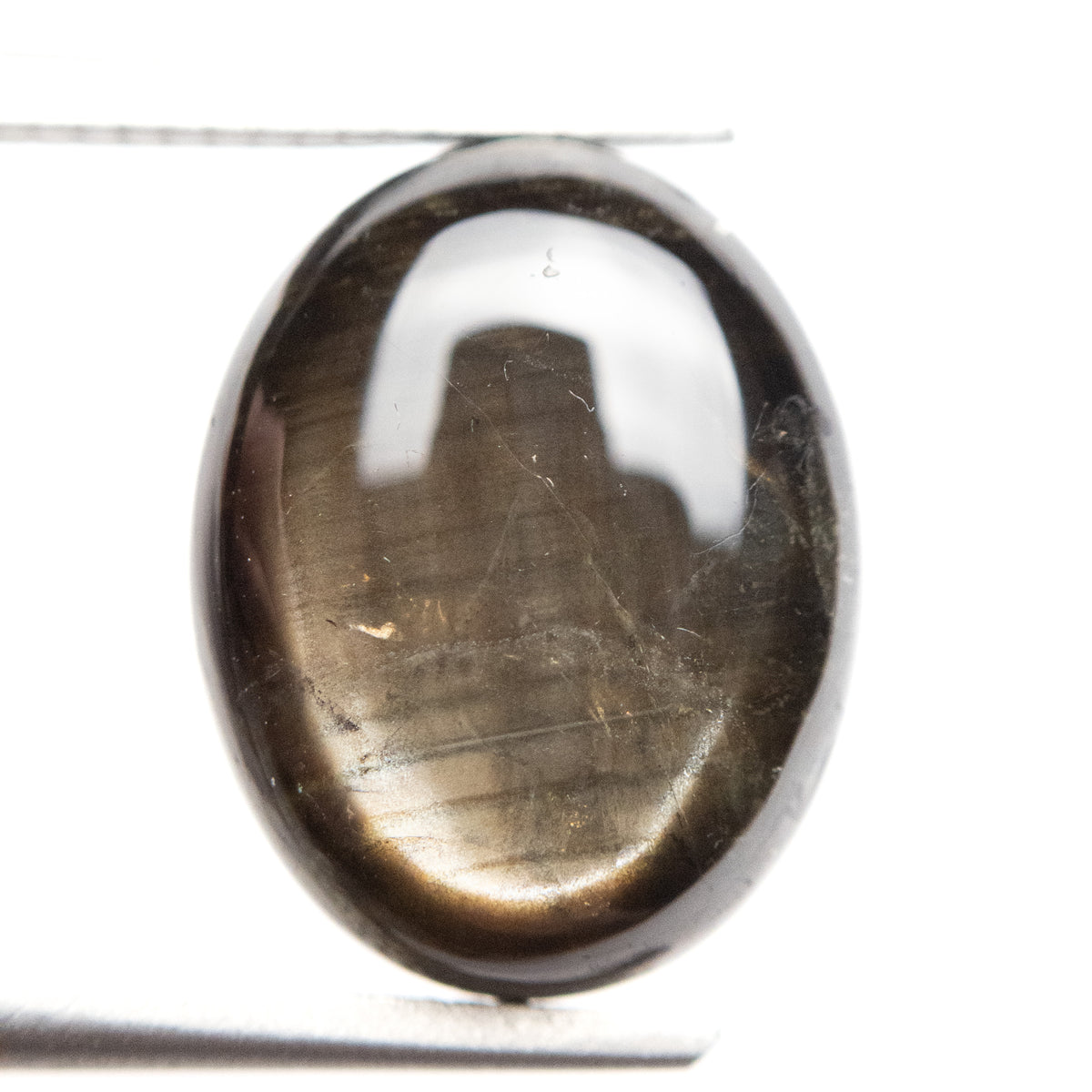 Black Star Sapphire 15.895 ct