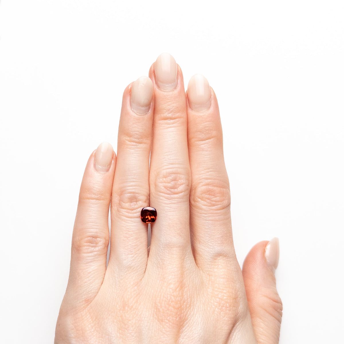 Saphir étoilé noir 15,895 ct