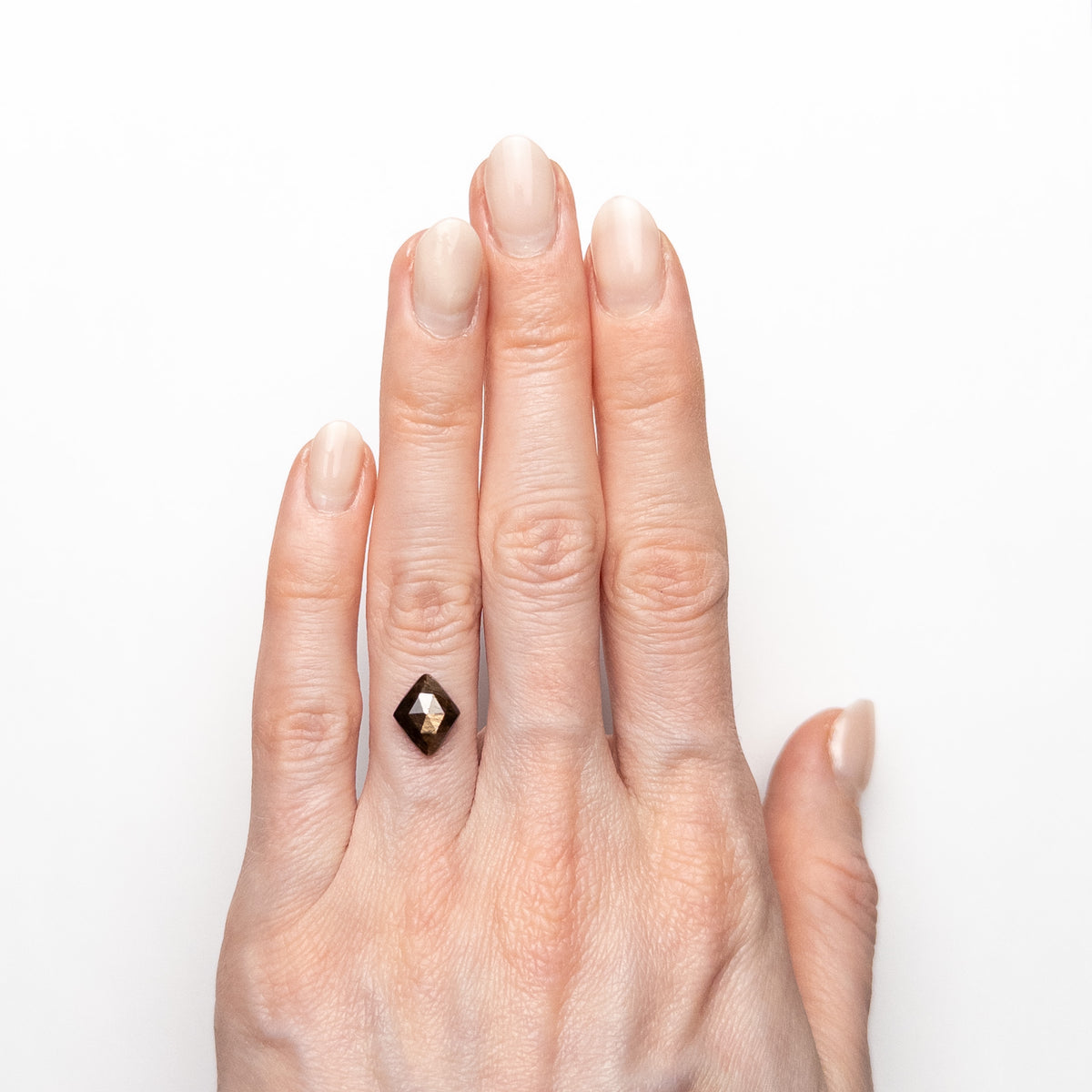 Saphir étoilé noir 15,895 ct