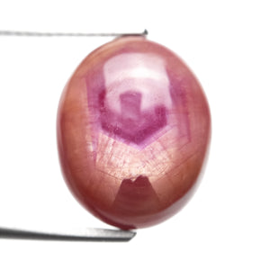 Pink Star Sapphire 12.18ct