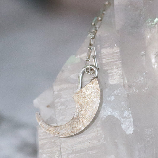 Tiger Claw Pendant - Large
