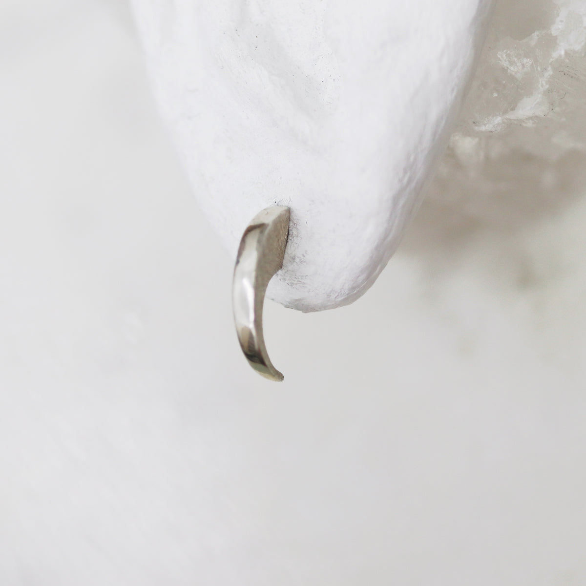 Clous d'oreilles en forme de griffes de tigre - Medium